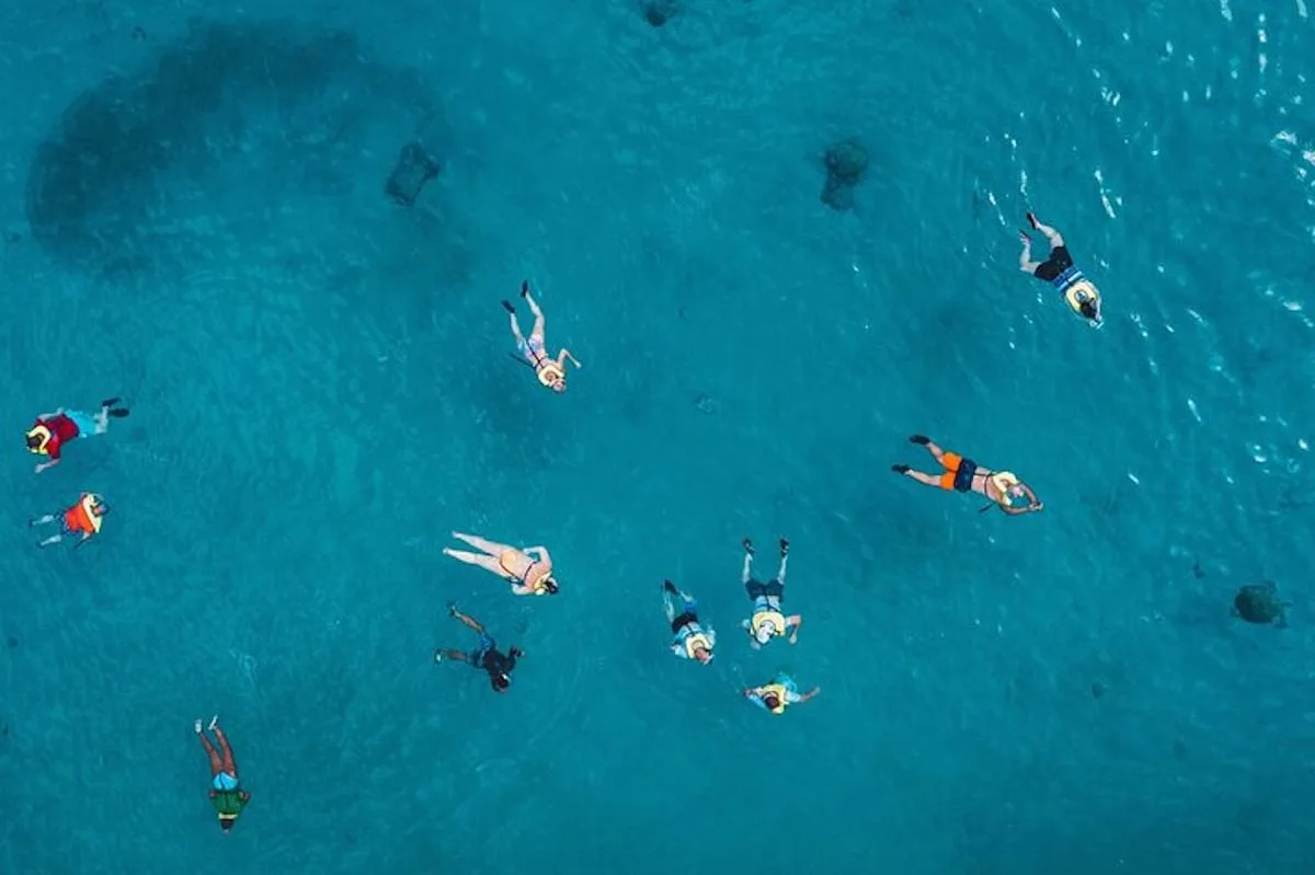 Snorkelers swim with turtles in Oahu over the shallow reef at Turtle Canyon off Waikiki, Hawaii